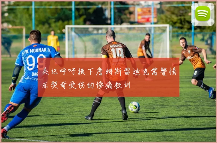 美记呼吁换下詹姆斯雷迪克需警惕东契奇受伤的惨痛教训