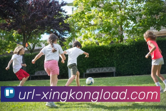 多媒体互动体验